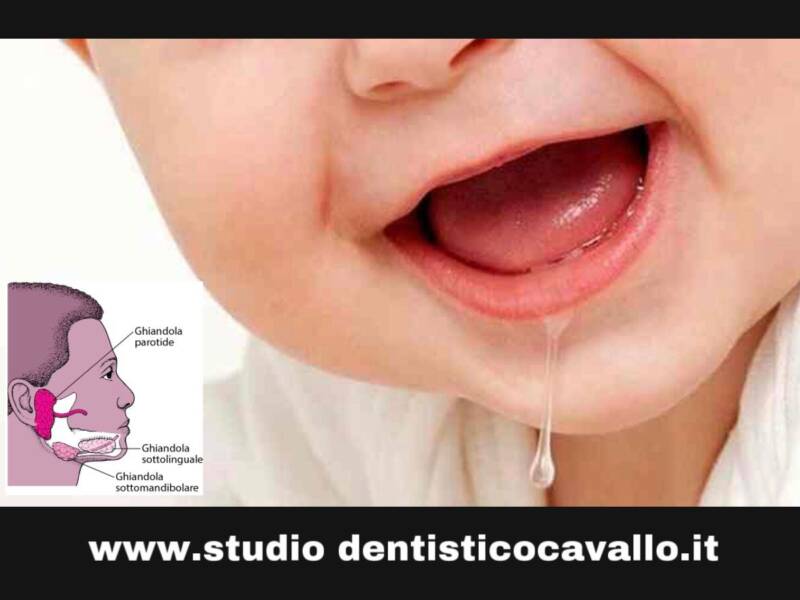 IL RUOLO IMPORTANTE DELLA SALIVA